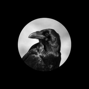 纲手裸乳被爆❌白浆向上
